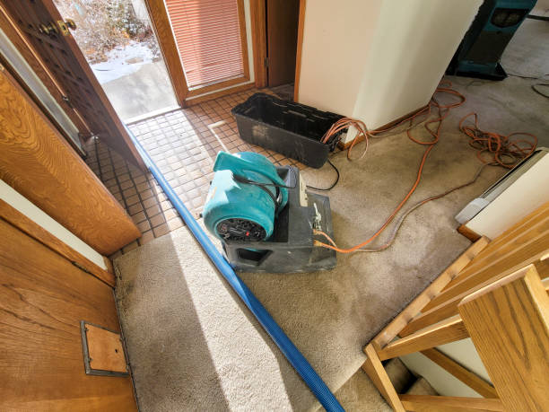 Best Fire Damage Restoration  in East Oakdale, CA