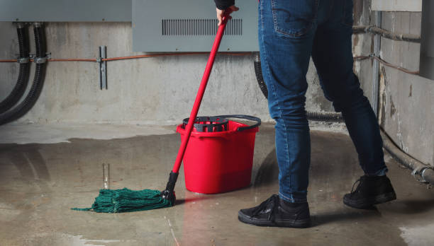 Best Flood damage cleanup  in East Oakdale, CA