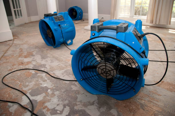 Carpet water damage restoration in East Oakdale, CA